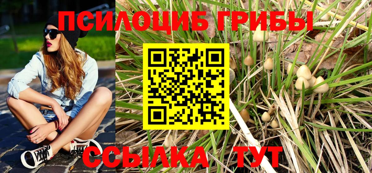 Галлюциногенные грибы GOLDEN TEACHER  Псилоцибиновые грибы Psilocybe  Октябрьский  купить наркотик  Вход с VPN 
